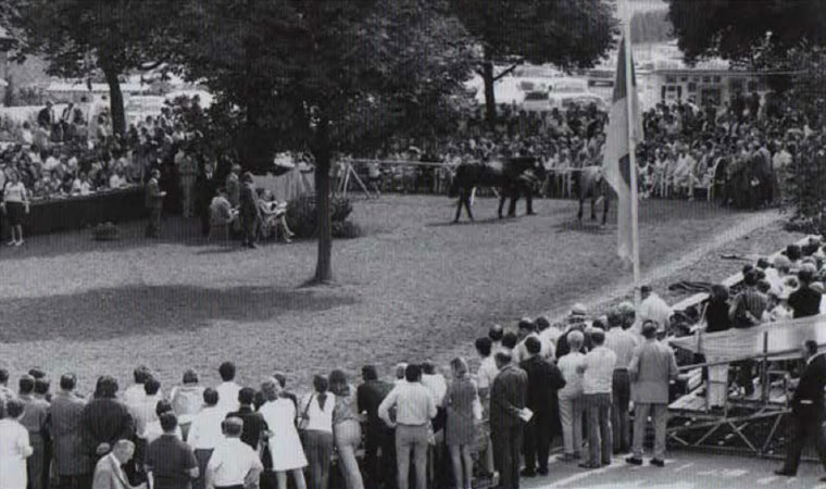 Early yearling sales at Baden-Baden; in the 1960s the sales took place in the racecourse paddock